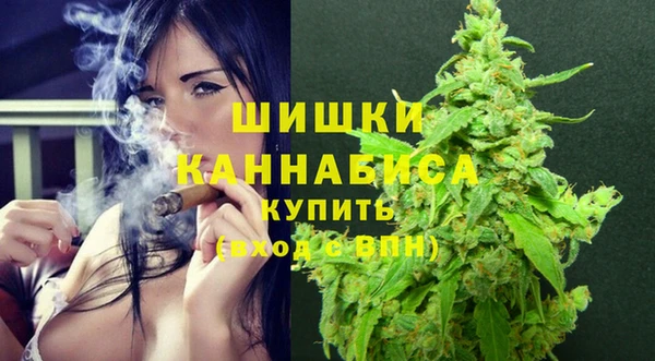 ешки Аркадак