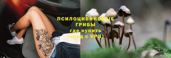 каннабис Богородицк