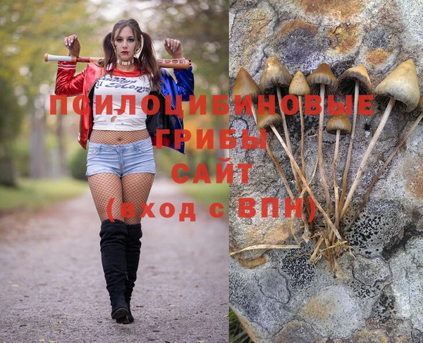 мет Арсеньев