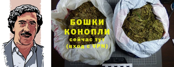 мет Арсеньев