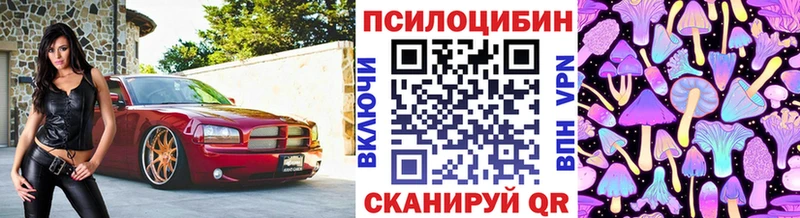 OMG   где купить наркоту  Мамоново  маркетплейс телеграм  Псилоцибиновые грибы Magic Shrooms 